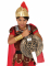 Römisches Schwert und Schild Gladiator-Set bronzefarben